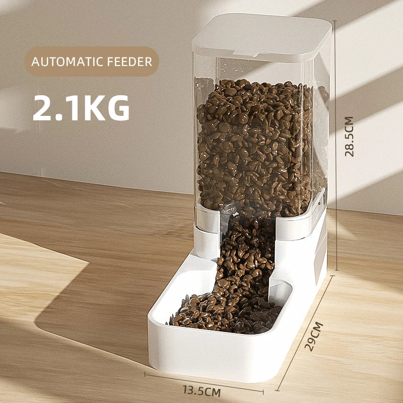 Dog Feeder - Automatic Feeding